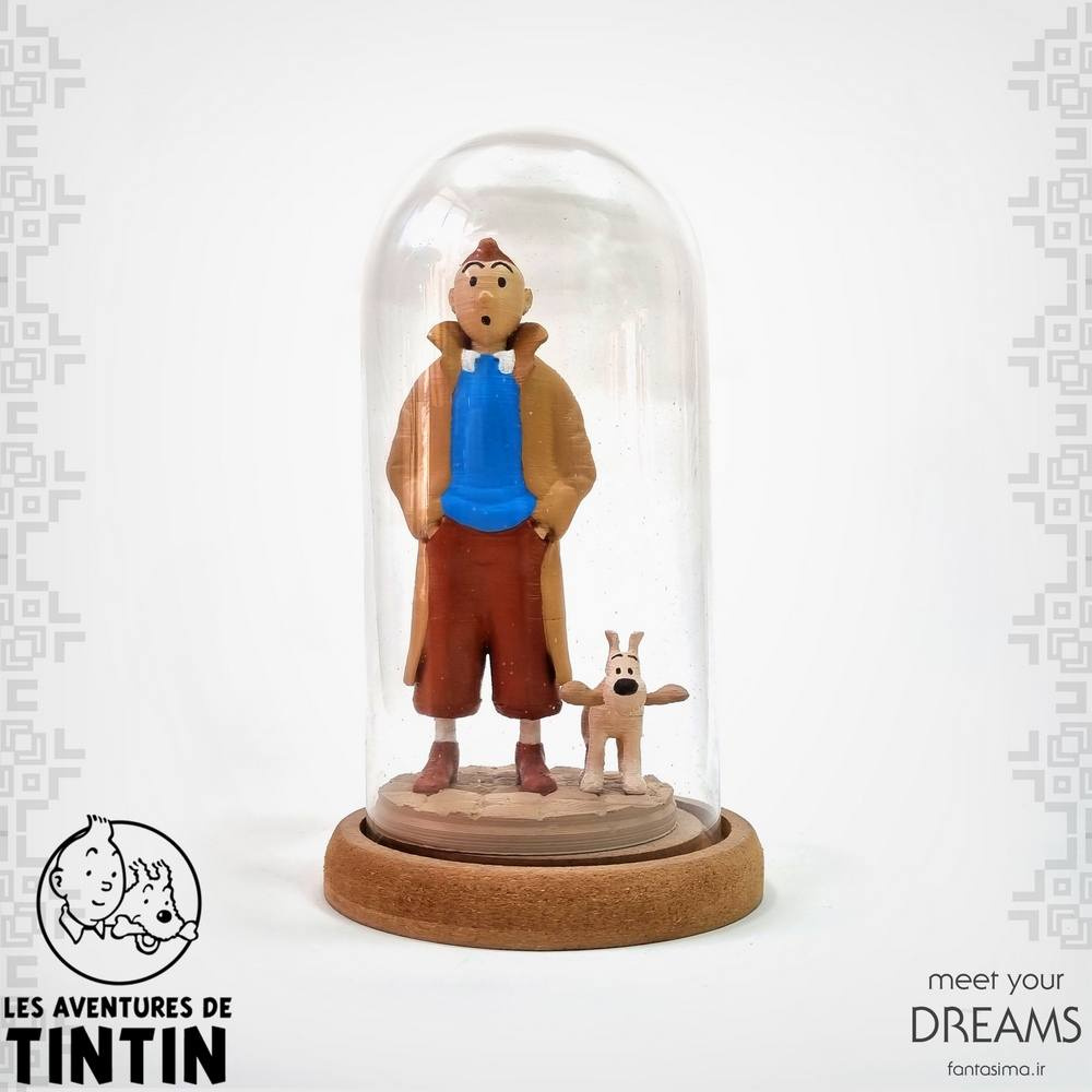 8348 tintin5