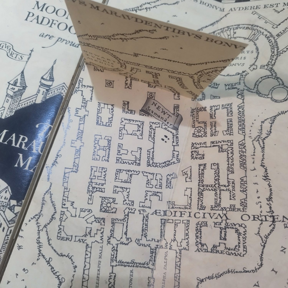 9328 IMG 20250721 185932