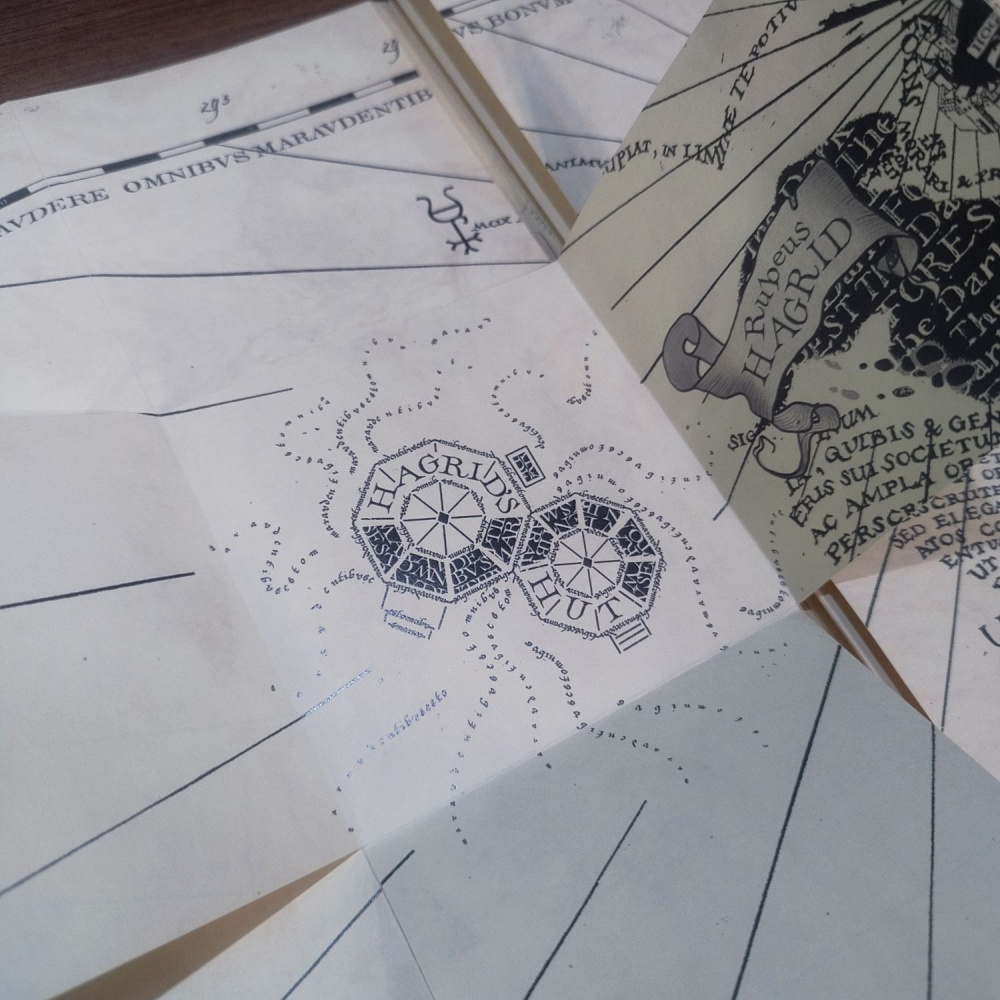 9328 IMG 20250721 190712